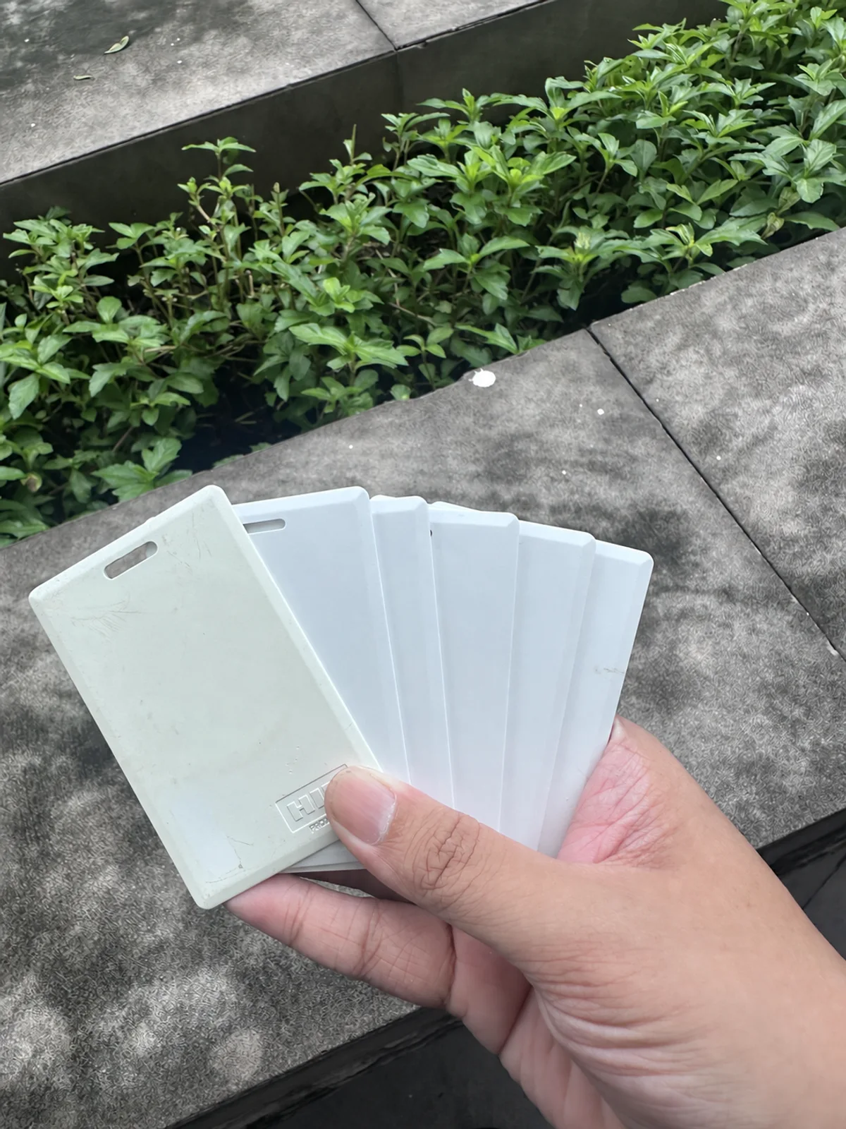 ภาพงานบัตรต้นฉบับและบัตรสีขาวหลายใบจาก IKEYTH